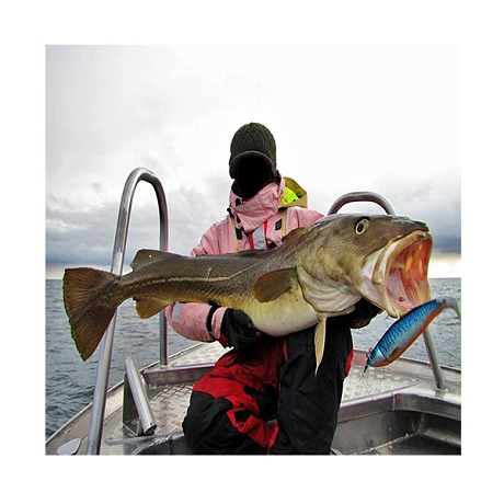 джиг-морской-savage-gear-cutbait-herring-460.jpg
