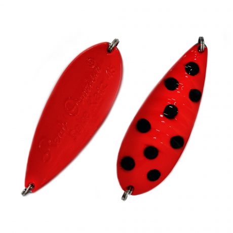 DSCF8960.jpg