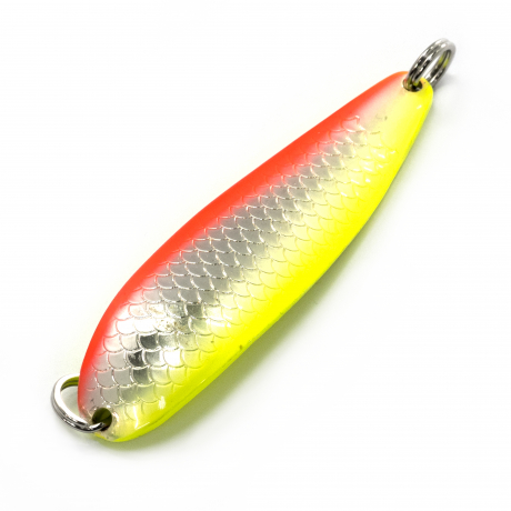 DSCF9080.jpg