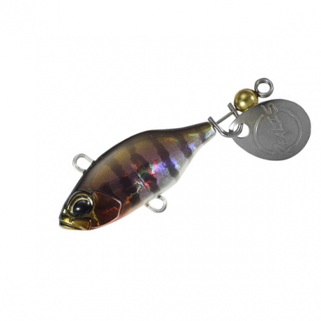 gill2.jpg
